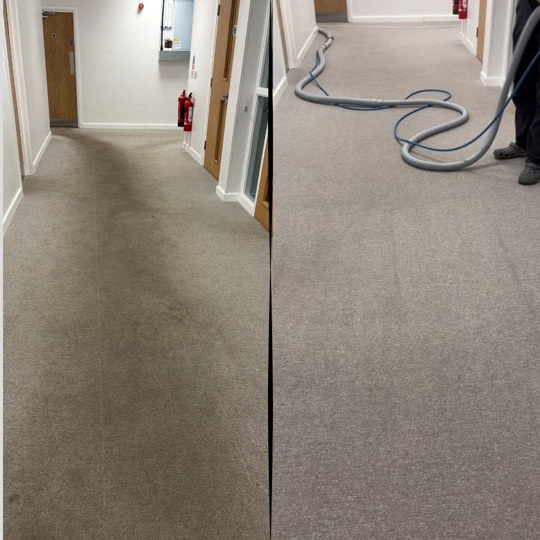 Bedford carpet before and after a PurgeBright deep clean