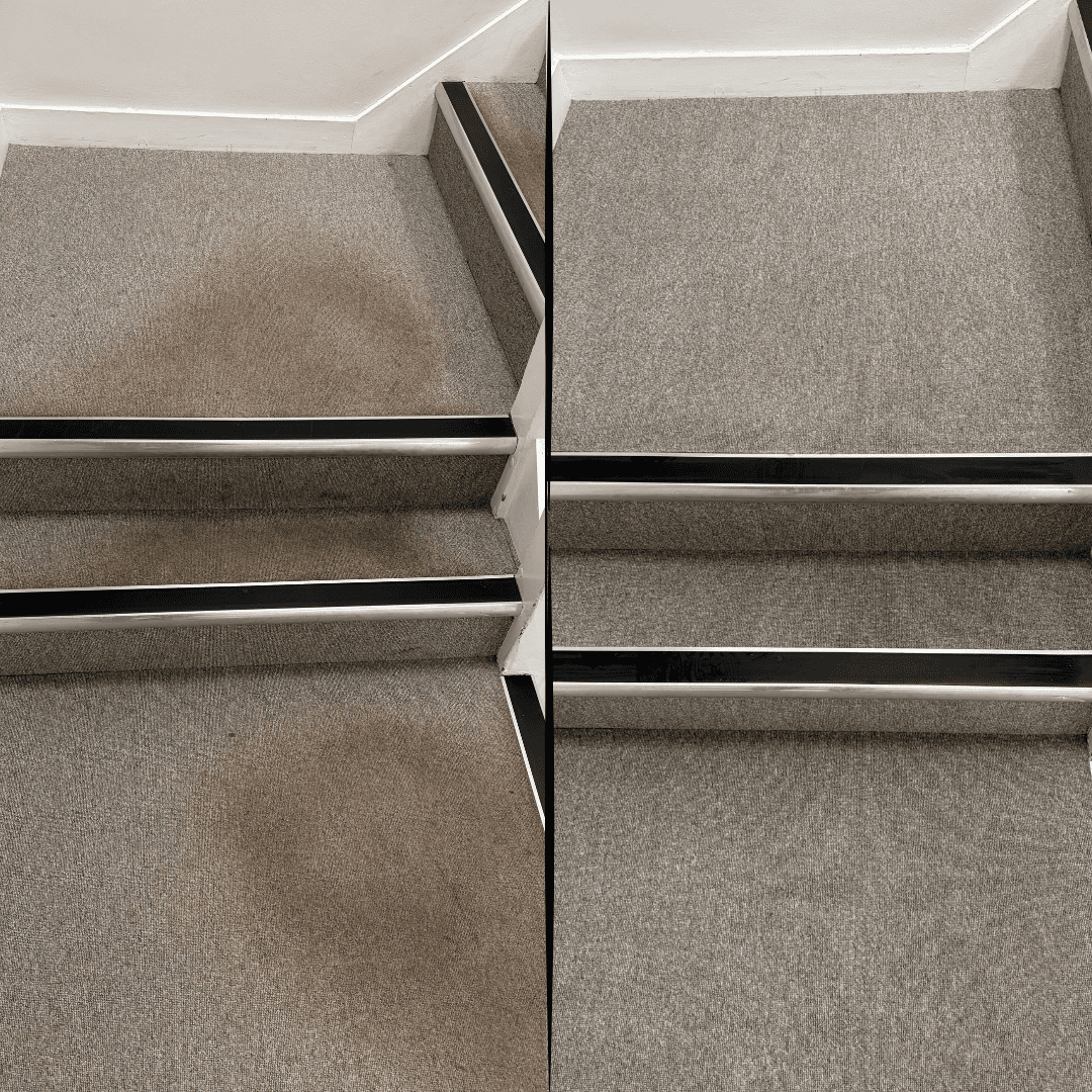 Bedford carpet before and after a PurgeBright deep clean