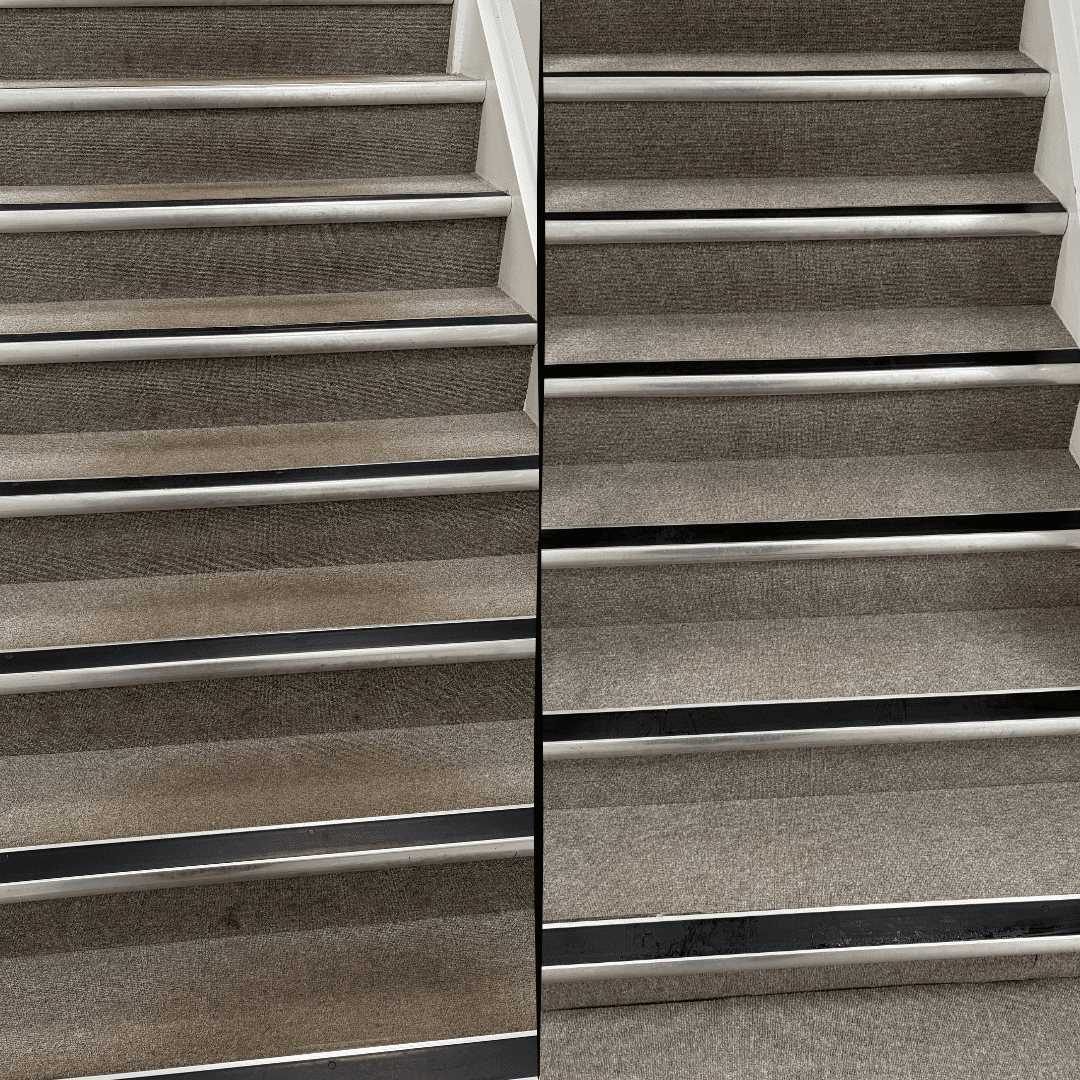 Bedford carpet before and after a PurgeBright deep clean