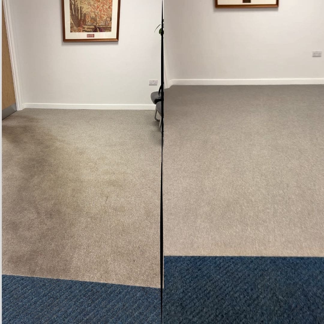 Bedford carpet before and after a PurgeBright deep clean