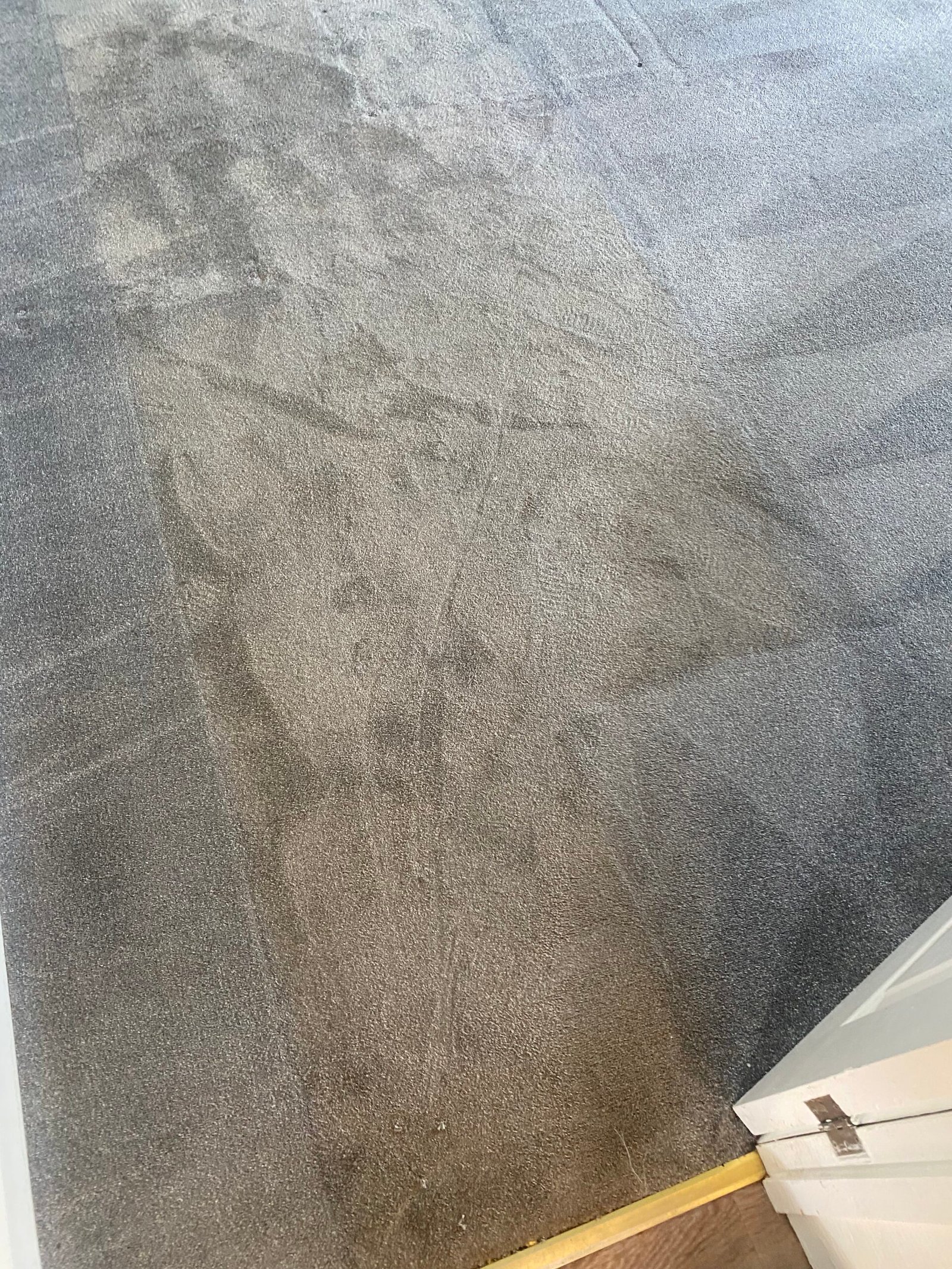 One photo of a carpet cleaned halfway, with the dirty half next to the clean half